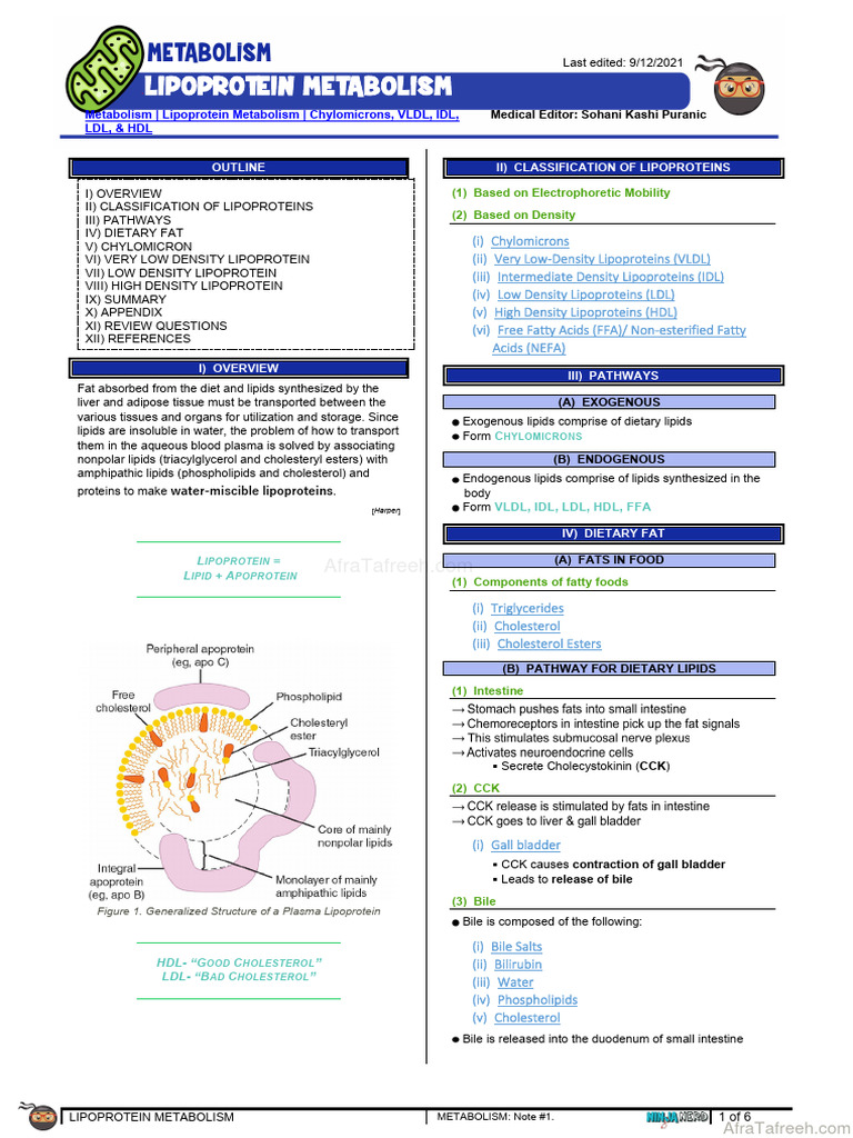 Lipoprotein Metabolism Overview | PDF | Lipoprotein | Cholesterol