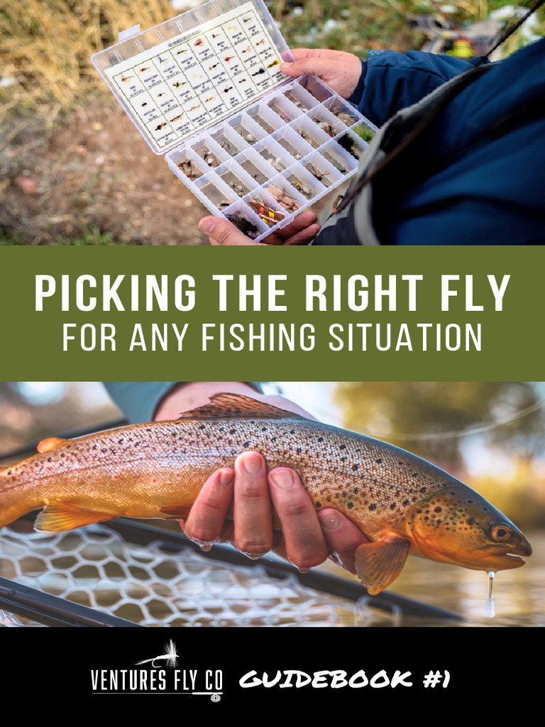 Choosing the Right Fly for Mayflies | PDF | Artificial Fly | Pupa