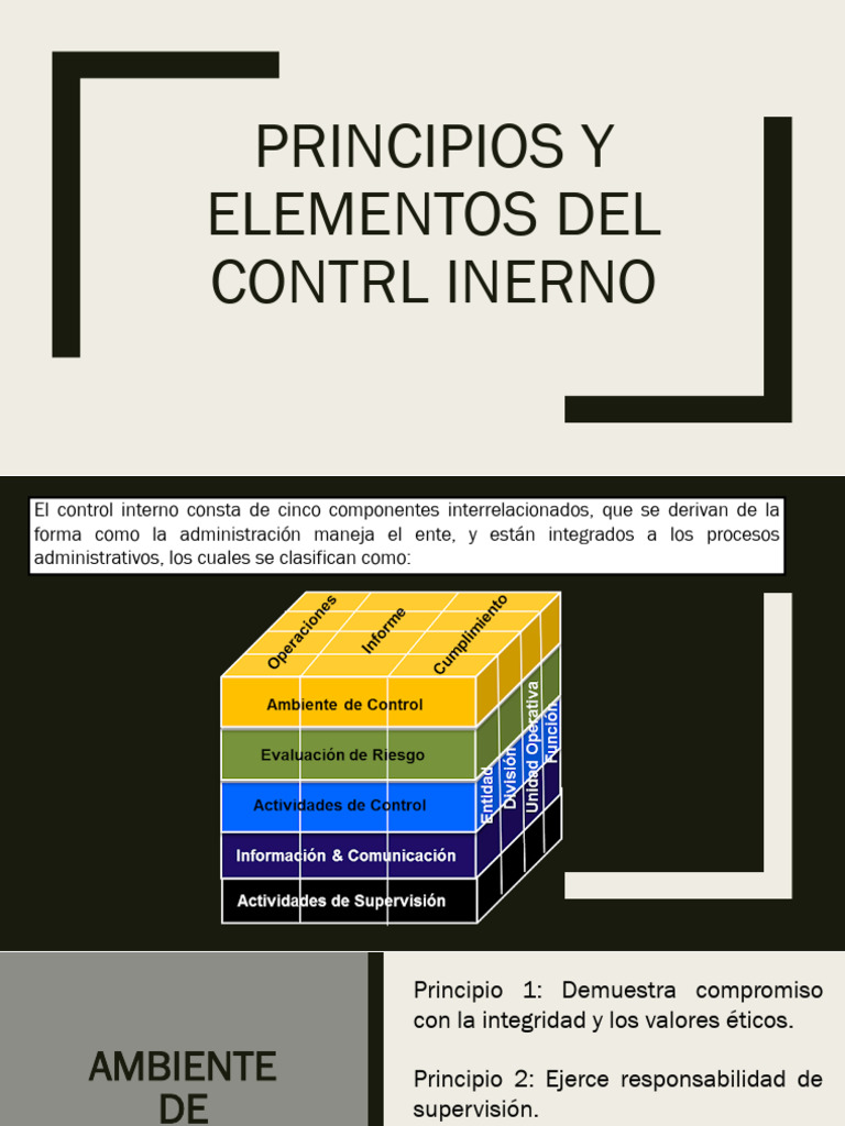 Componentes del Control Interno Coso | PDF | Toma de decisiones ...
