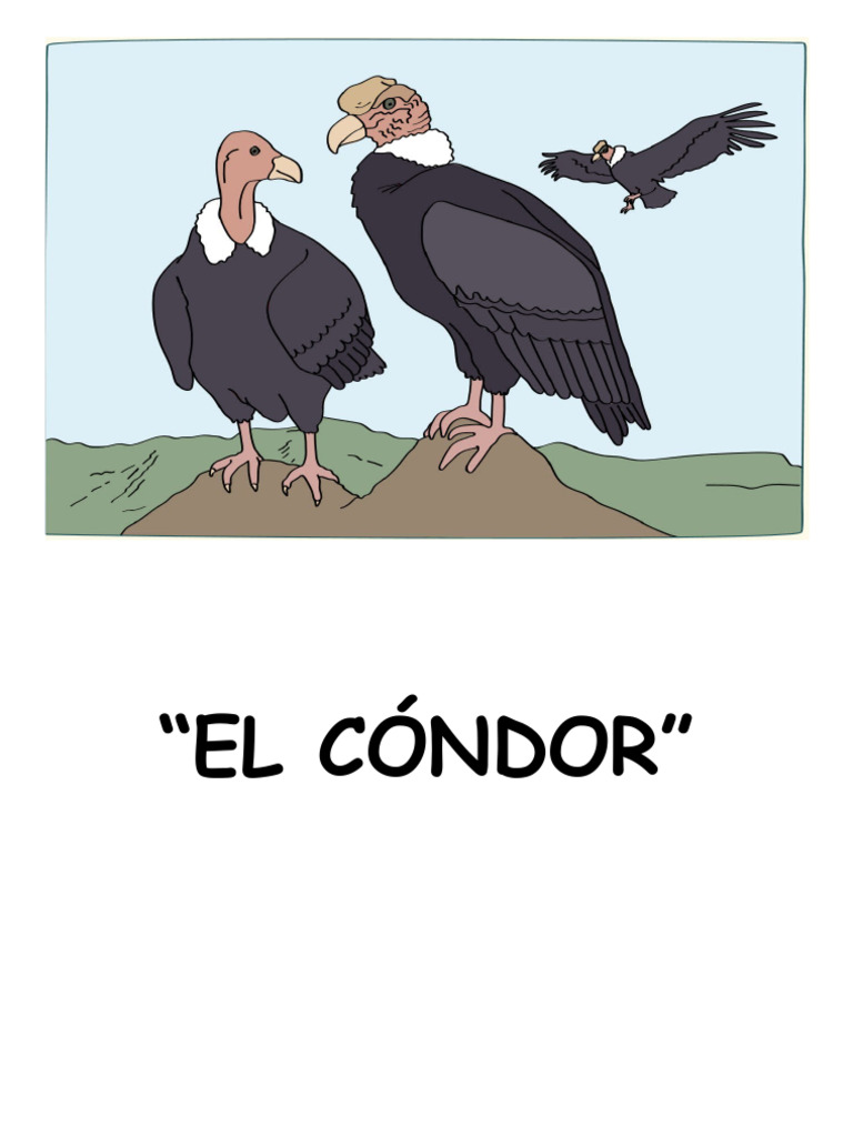 EL CÓNDOR Reforz..... Comucación | PDF | Aves | Ornitología