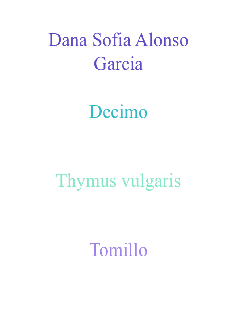 El Tomillo | PDF
