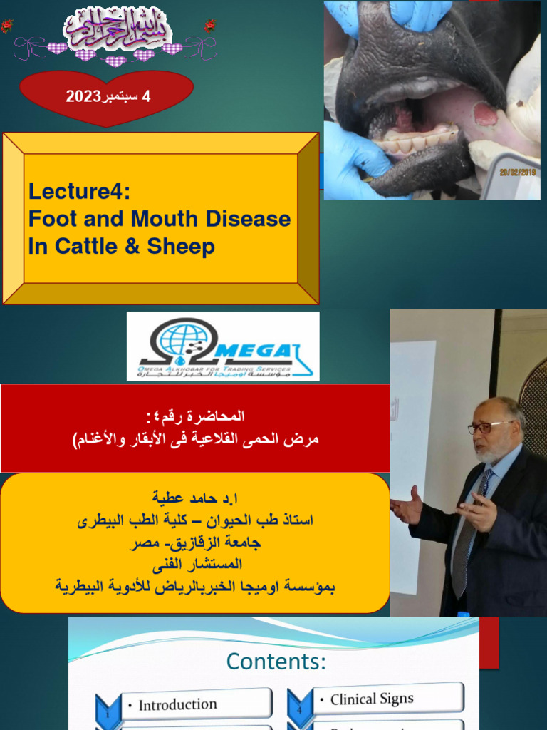 4 Foot &mouth Disease in Cattle and Sheep Prof DR Hamed Attia | PDF ...