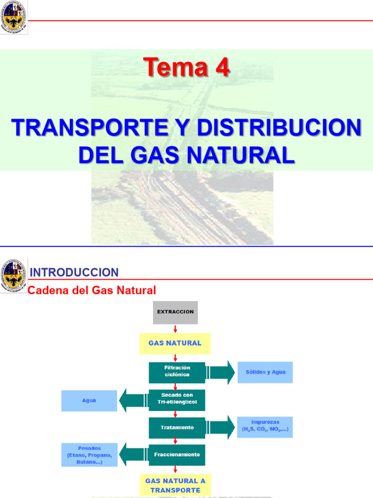 Transporte y Distribución de Gas Natural | PDF | Gas natural | Gas ...
