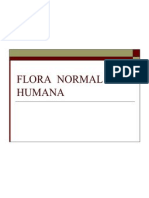 2.FLORA N0RMAL Presentacion