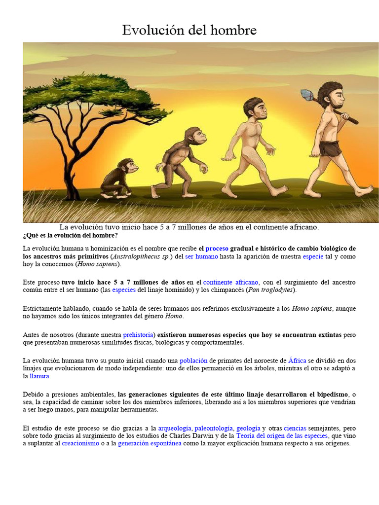 Evolución del Hombre: Línea del Tiempo | PDF | Homo | Evolución humana