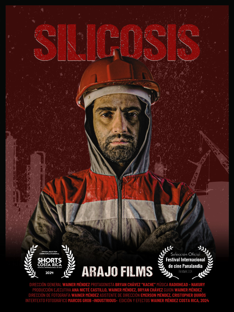 SILICOSIS POSTER laureles 2024 | PDF