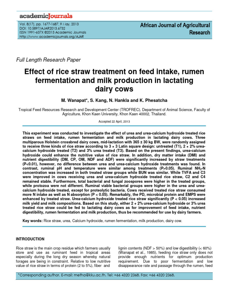 Rice Straw Treatment Effects on Dairy Cows | PDF | Cattle | Biology
