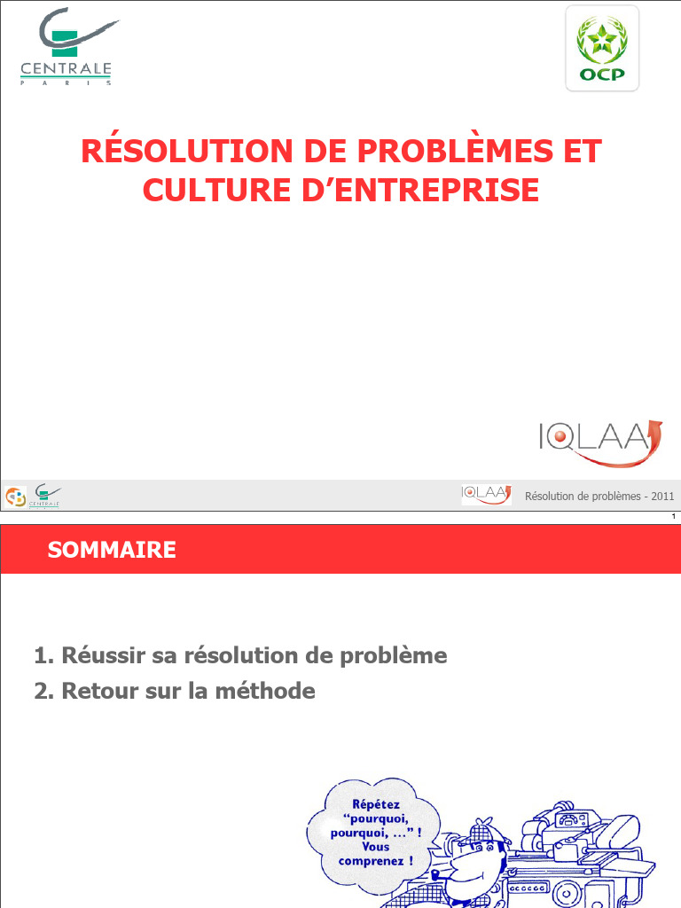 Guide de résolution de problèmes 2011 | PDF | Expérience | Cognition
