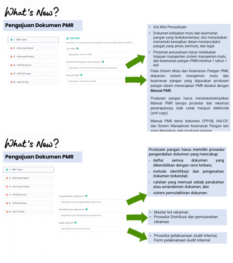 Audit dan Pengelolaan Dokumen PMR | PDF | Bisnis