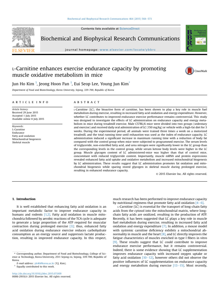 L Carnitine | PDF | Biology | Biochemistry