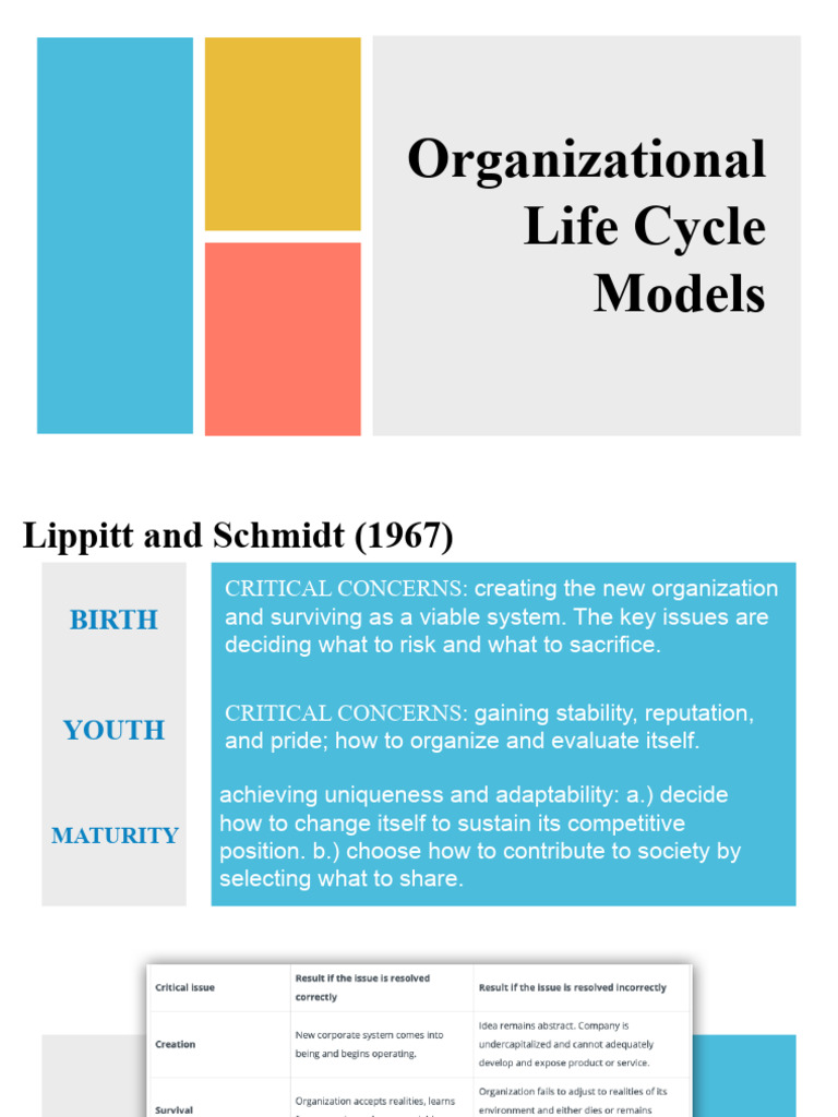 Life Cycle Models | PDF | Entrepreneurship | Leadership