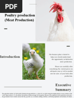 Layer Business Plan | PDF | Poultry Farming | Chicken