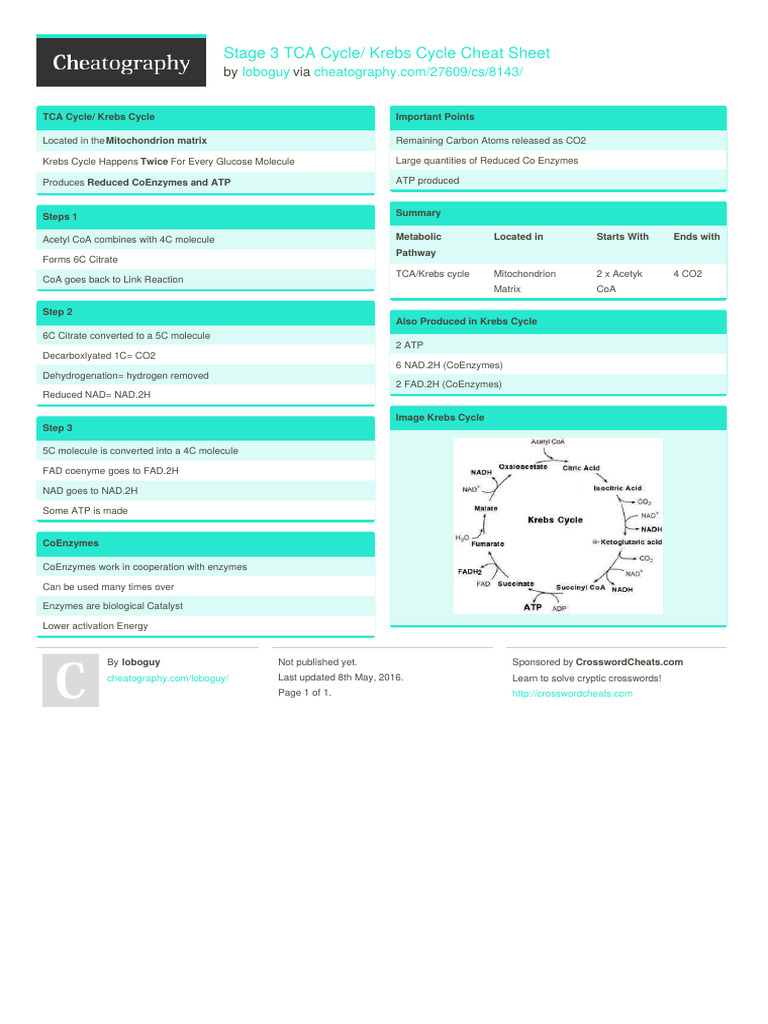 TCA Cycle Cheat Sheet Overview | PDF