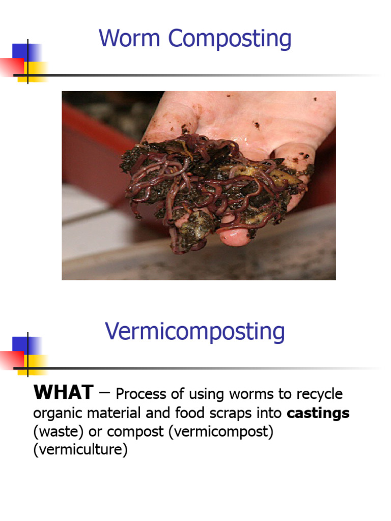 Worm Composting | PDF | Agriculture | Horticulture