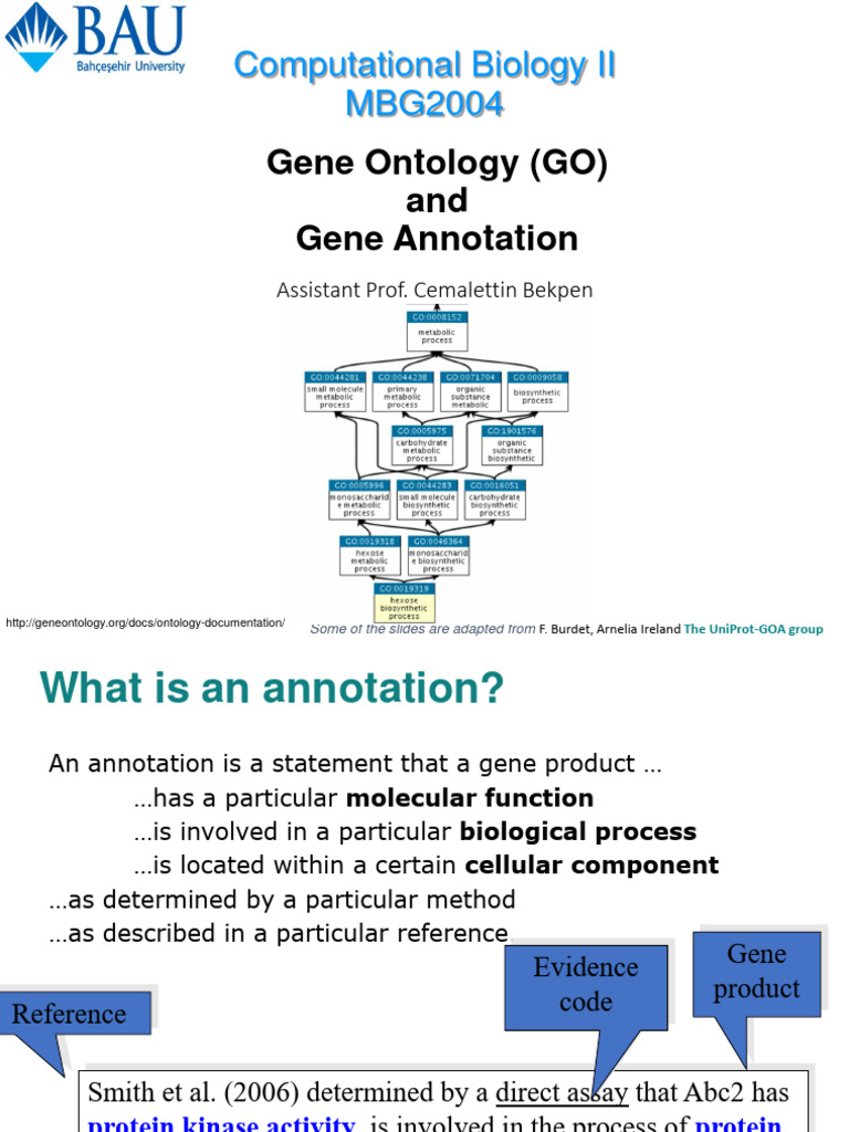 MBG2004 Gene Ontology - and - Gene Annotation Week VII | PDF | Cell ...