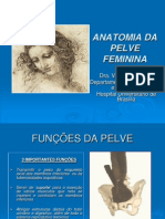 Aula - Anatomia Da Pelve Feminina