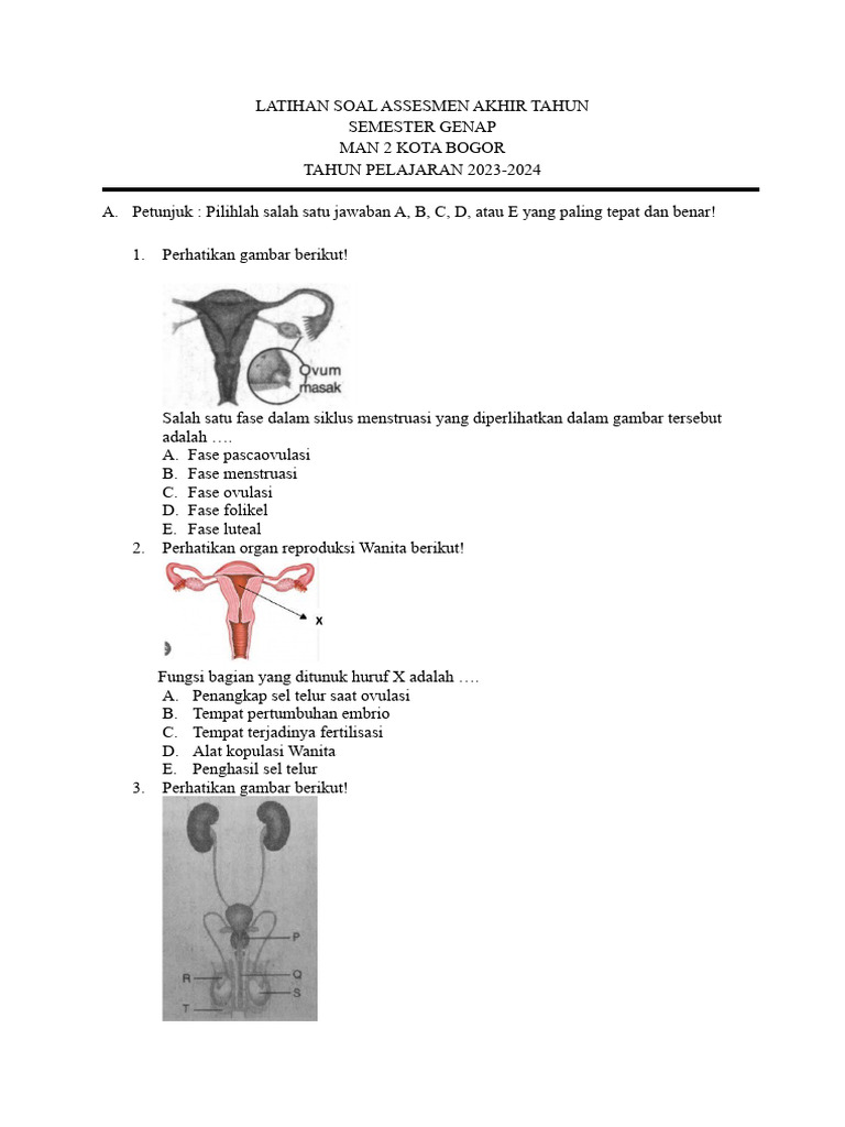 Latihan soal sistem immun pdf