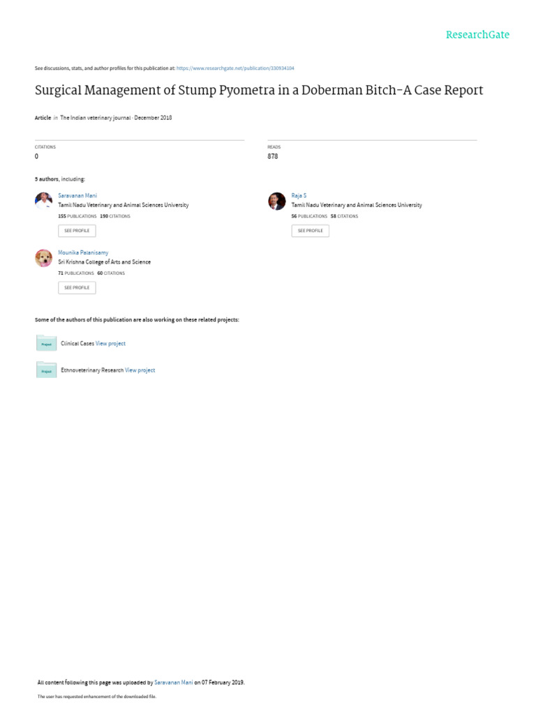 surgical-management-of-stump-pyometra-in-a-doberman-bitch-a-case-report