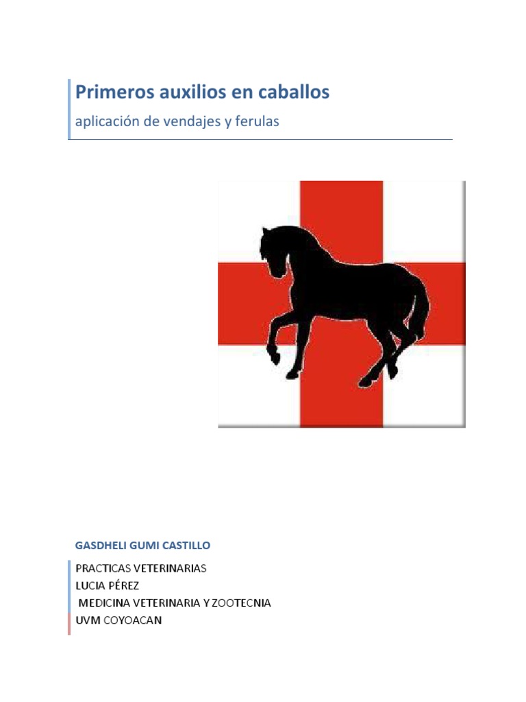 Primeros Auxilios y Vendajes en Caballos | PDF | Herida | Lesión