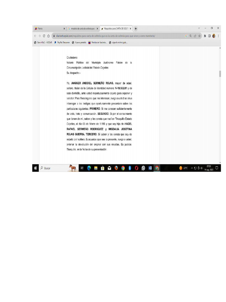 Carta De Solteria Pdf