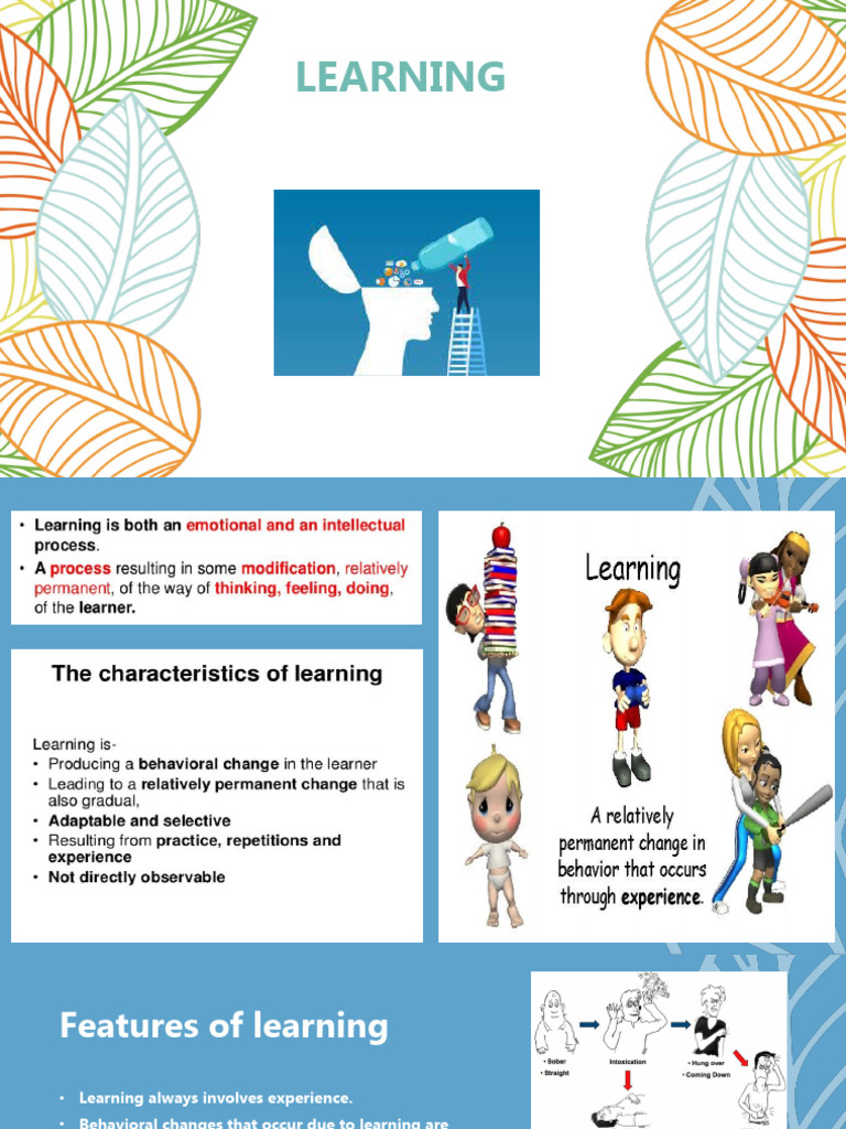 3 Process of Learning | PDF | Learning | Learning Theory (Education)