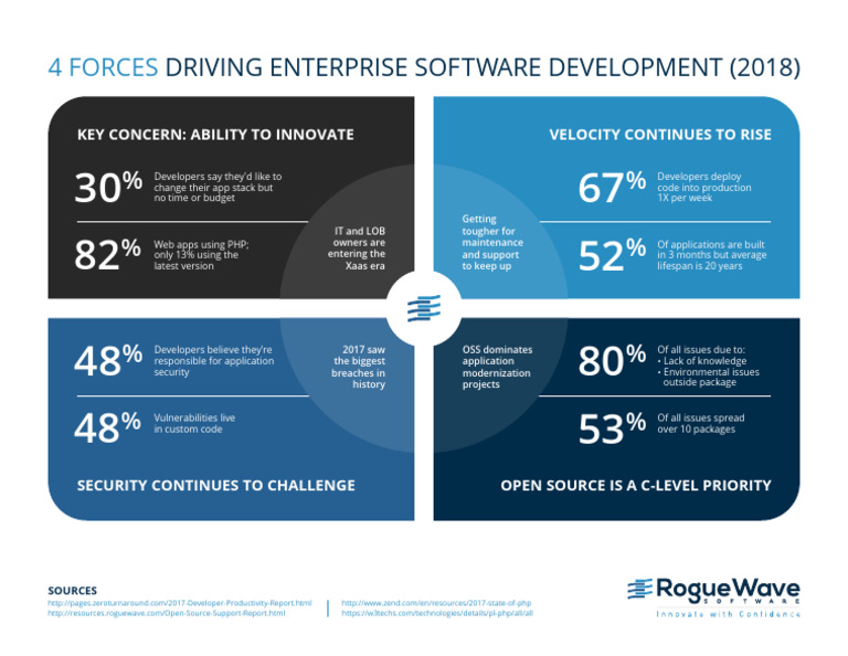 RW 4forces Driving Softwaredev-Ig | PDF | Application Software | Software