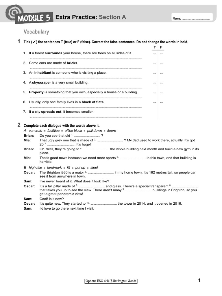 Vocabulary and Grammar Practice Worksheet | PDF | Linguistics