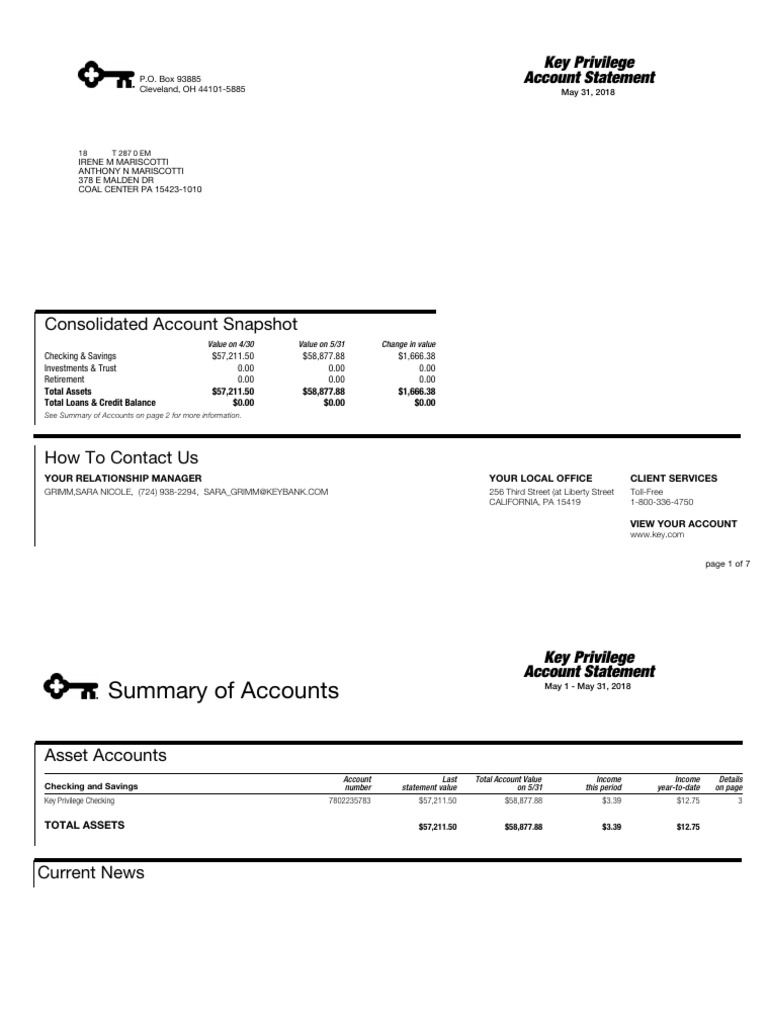 Consolidated Account Snapshot: Key Privilege Account Statement | PDF ...