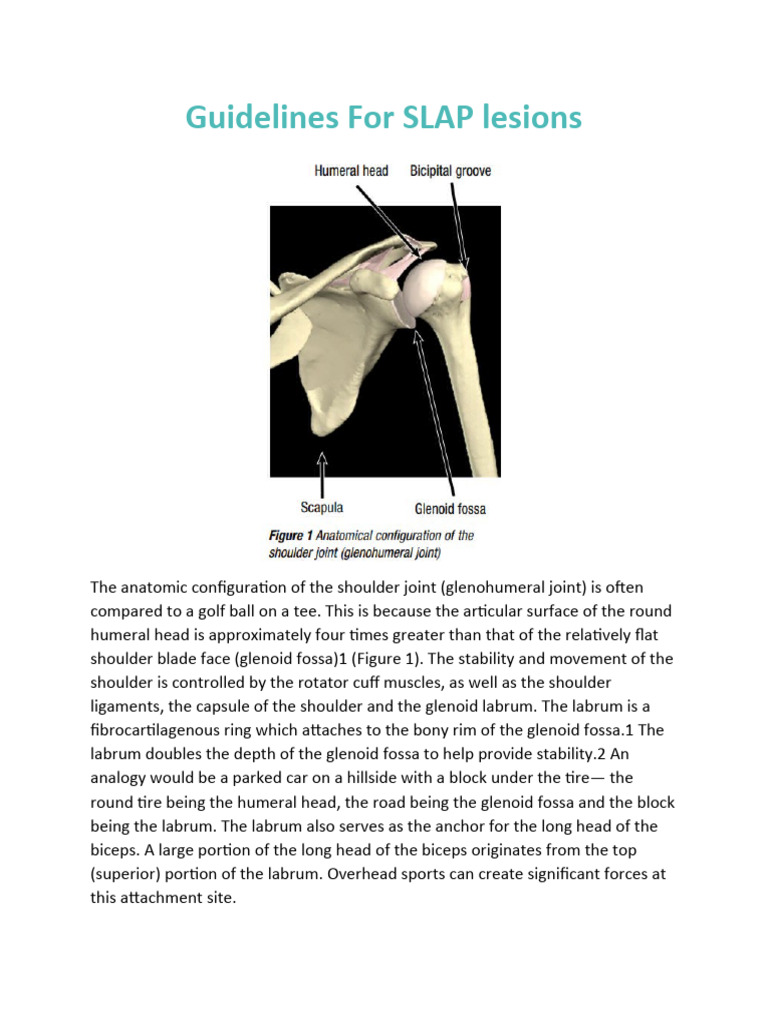 1425941980-Guidelines For SLAP Lesions | PDF | Anatomical Terms Of ...