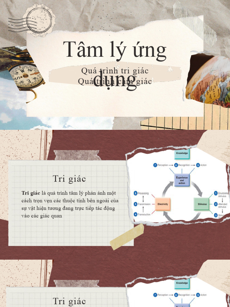 TLUD | PDF