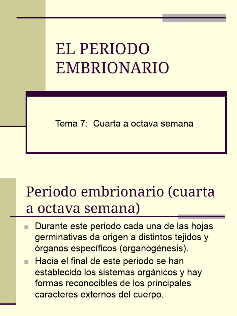 Tema 7 EL PERIODO EMBRIONARIO | PDF | Morfología (biología) | Biología