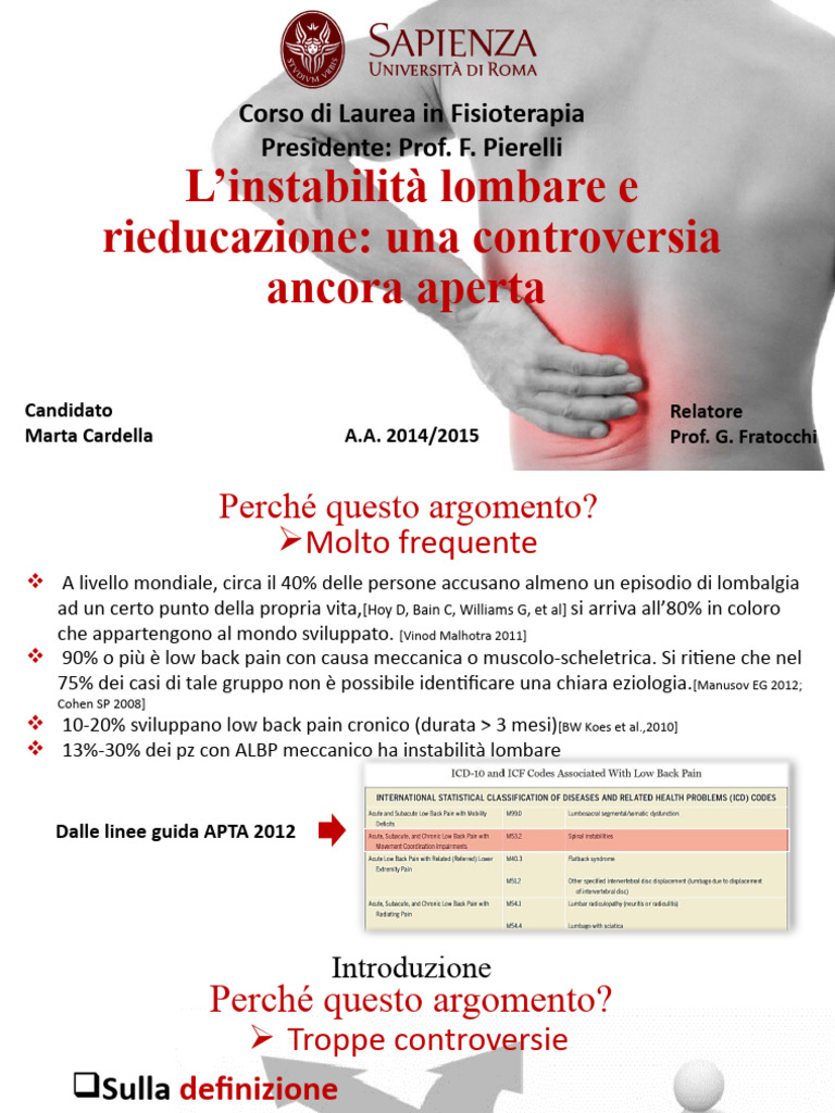 Low Back Pain | PDF