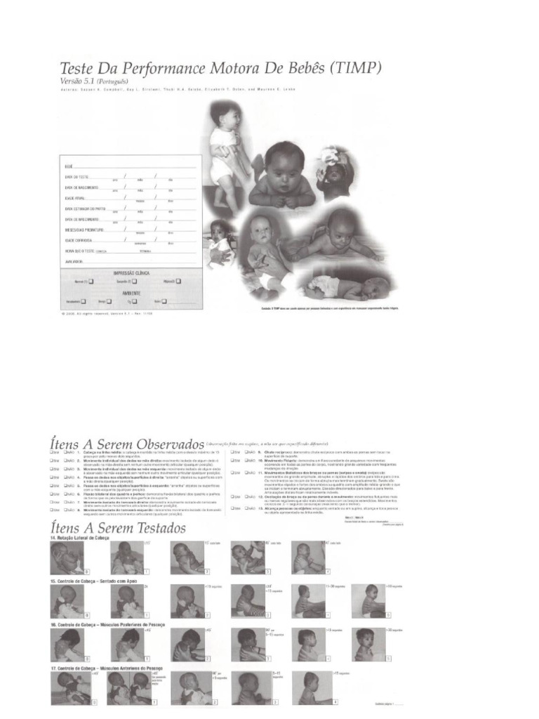 Timp | PDF