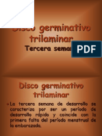 Disco Germinativo Tri Laminar