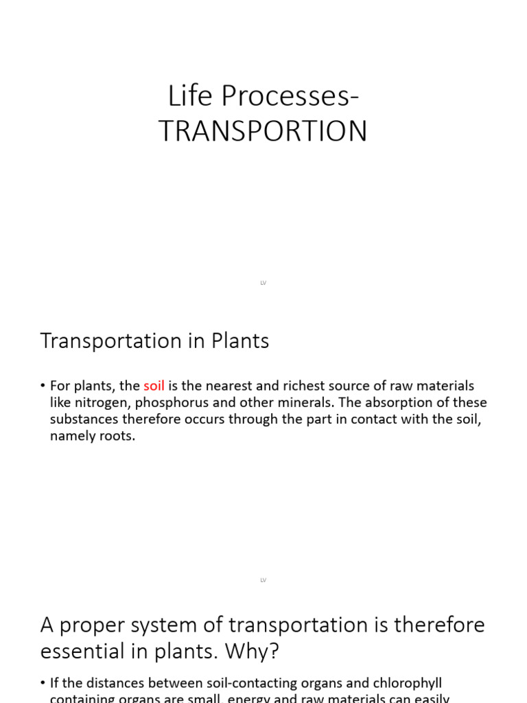 Life processes transportation in plants pdf tissue biology