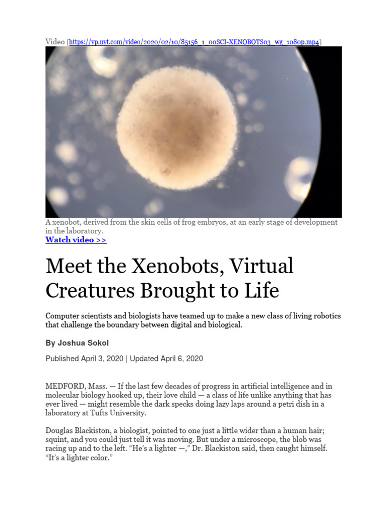 Exploring Xenobots: Living Robots Explained | PDF | Life Sciences | Biology