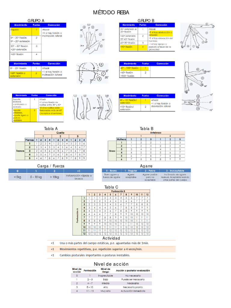 Reba Ejer 3 | PDF
