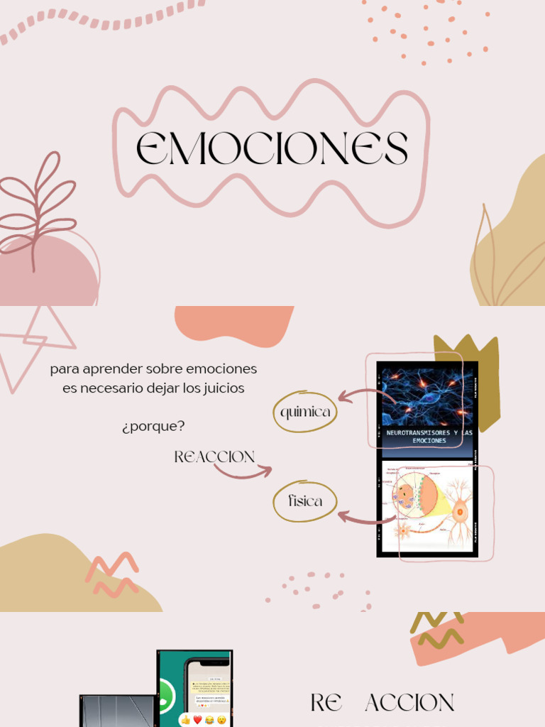 Gestión de Emociones y Decisiones | PDF | Ira | Las emociones