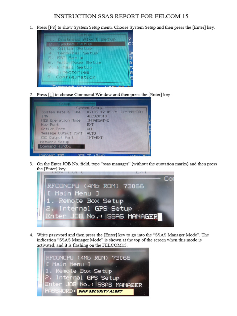 SSAS Report Testing Instructions for FELCOM | PDF