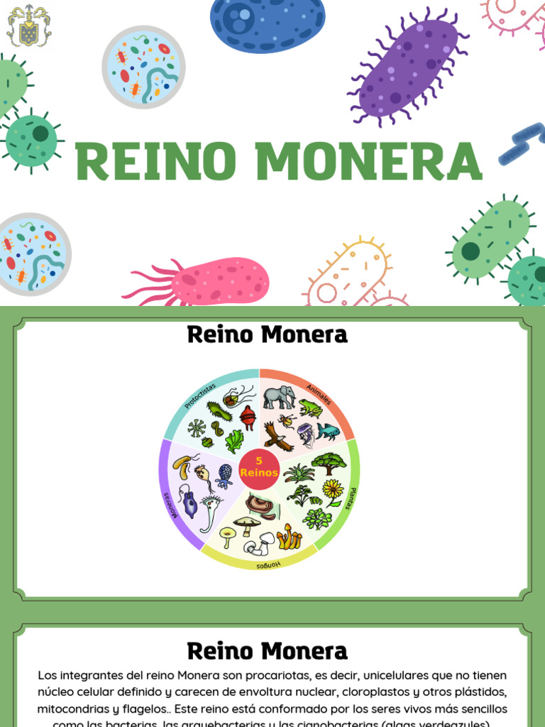Introducción al Reino Monera | PDF | Las bacterias | Reproducción