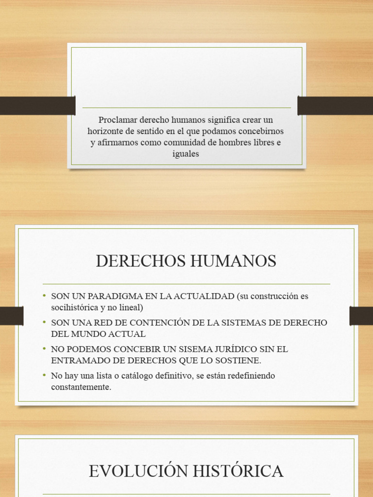 DDHH | PDF | Derechos humanos | Naciones Unidas