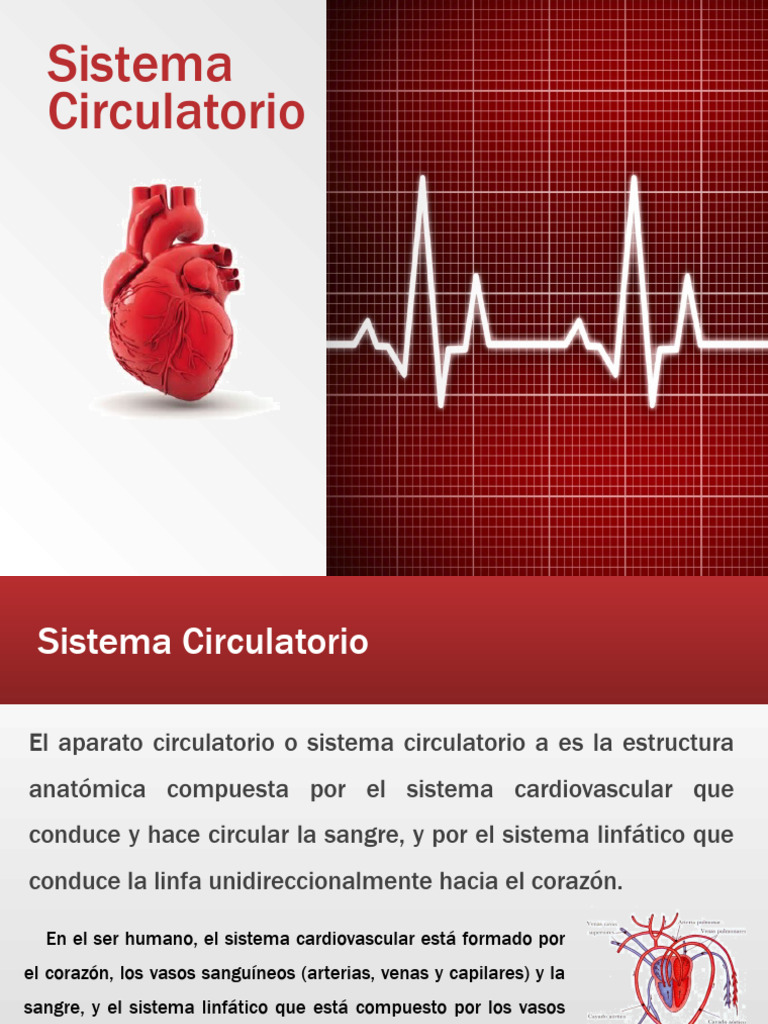 Promothus y su uso en osteoartritis | PDF | Sistema circulatorio | Corazón