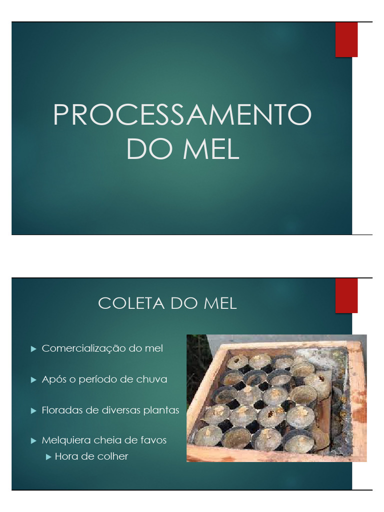 Pasteurização e Processamento do Mel | PDF