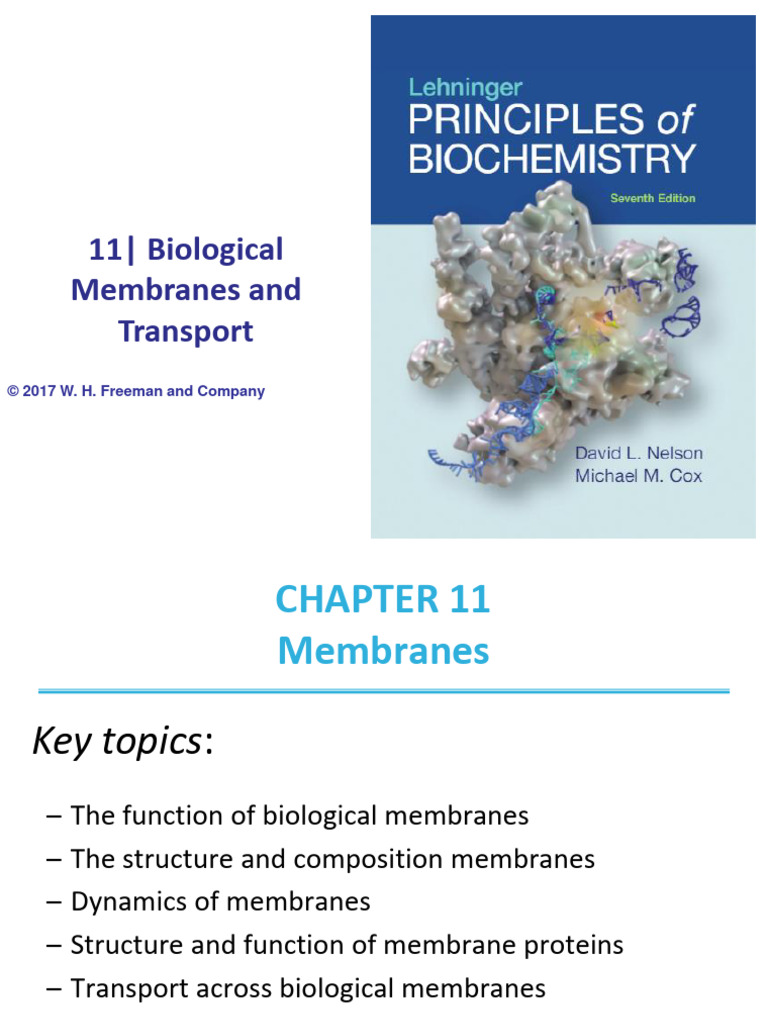 Lehninger PPT ch11 Wsuh 2024 | Download Free PDF | Cell Membrane ...