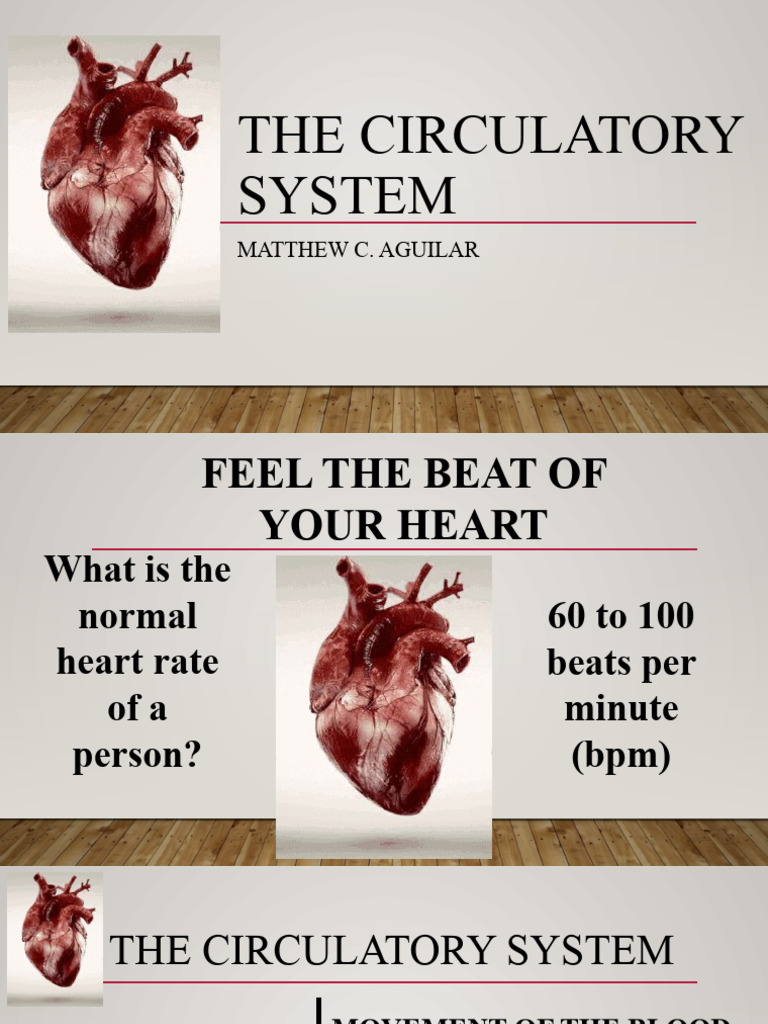 9 - Circulatory System | PDF | Blood | Circulatory System