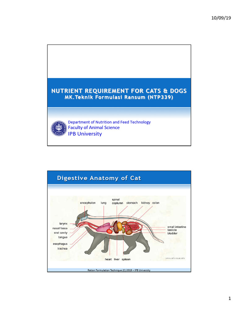 View of Nutrient Requirements for Cats and Dogs | PDF | Carbohydrates ...