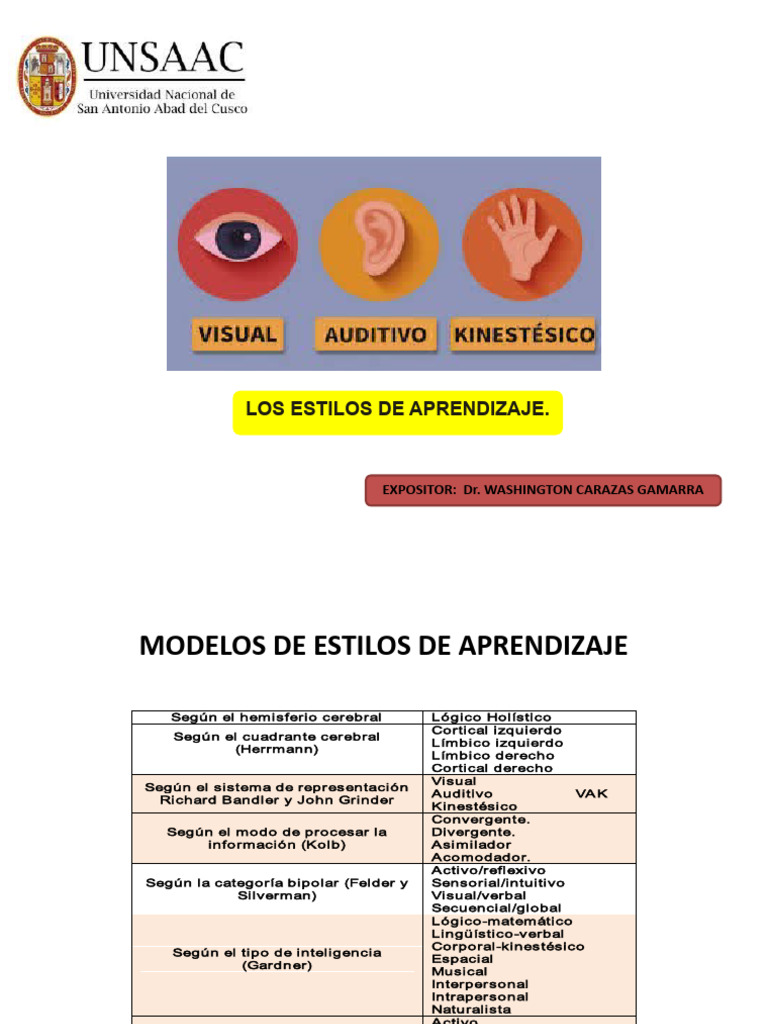 Estilos de Aprendizaje y Teorías Asociadas | PDF | Aprendizaje | Percepción