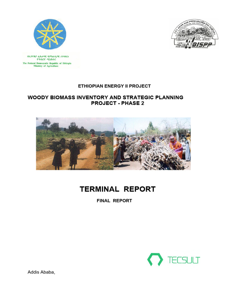 Ethiopian Woody Biomass Strategic Report | PDF | Geographic Information ...