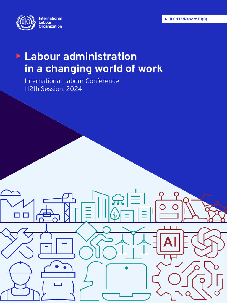 Labour Administration In A Changing World Of Work Pdf International