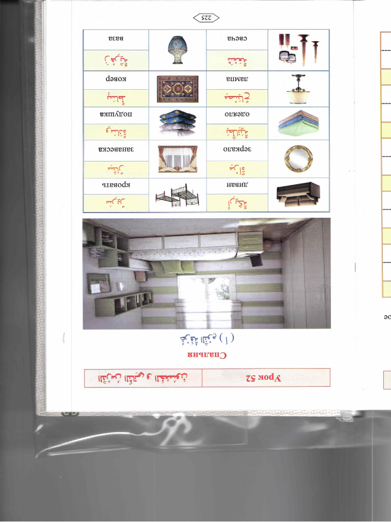 Scan | PDF